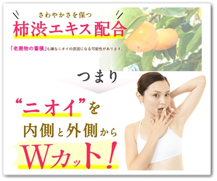 クリアネオ サンプル